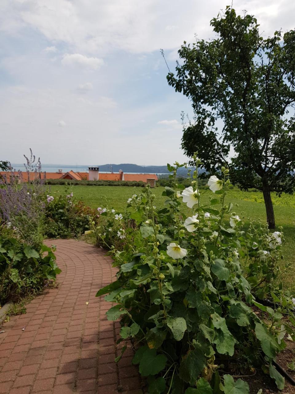 Koczor Winery & Guesthouse Balatonfüred Exterior foto