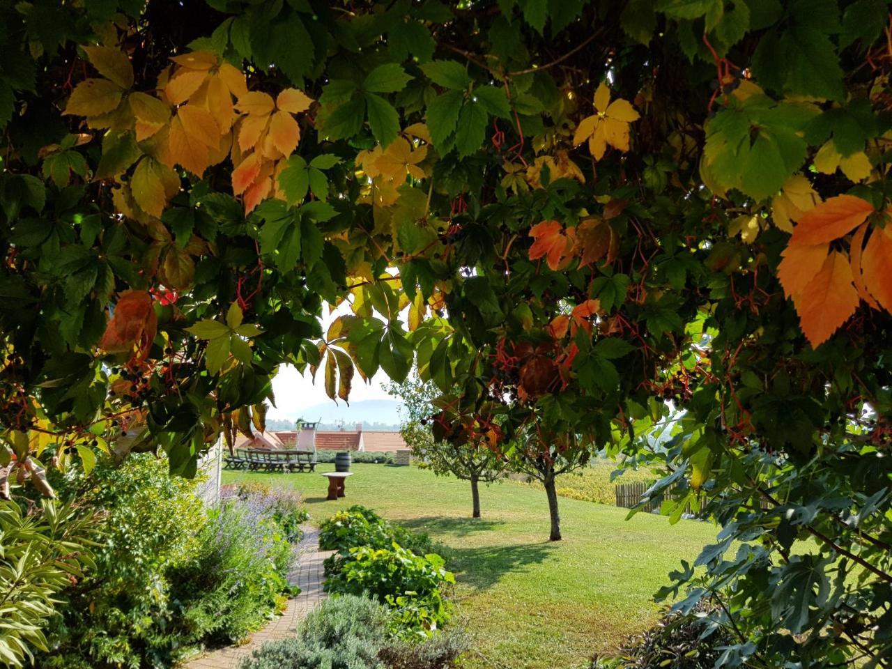 Koczor Winery & Guesthouse Balatonfüred Exterior foto